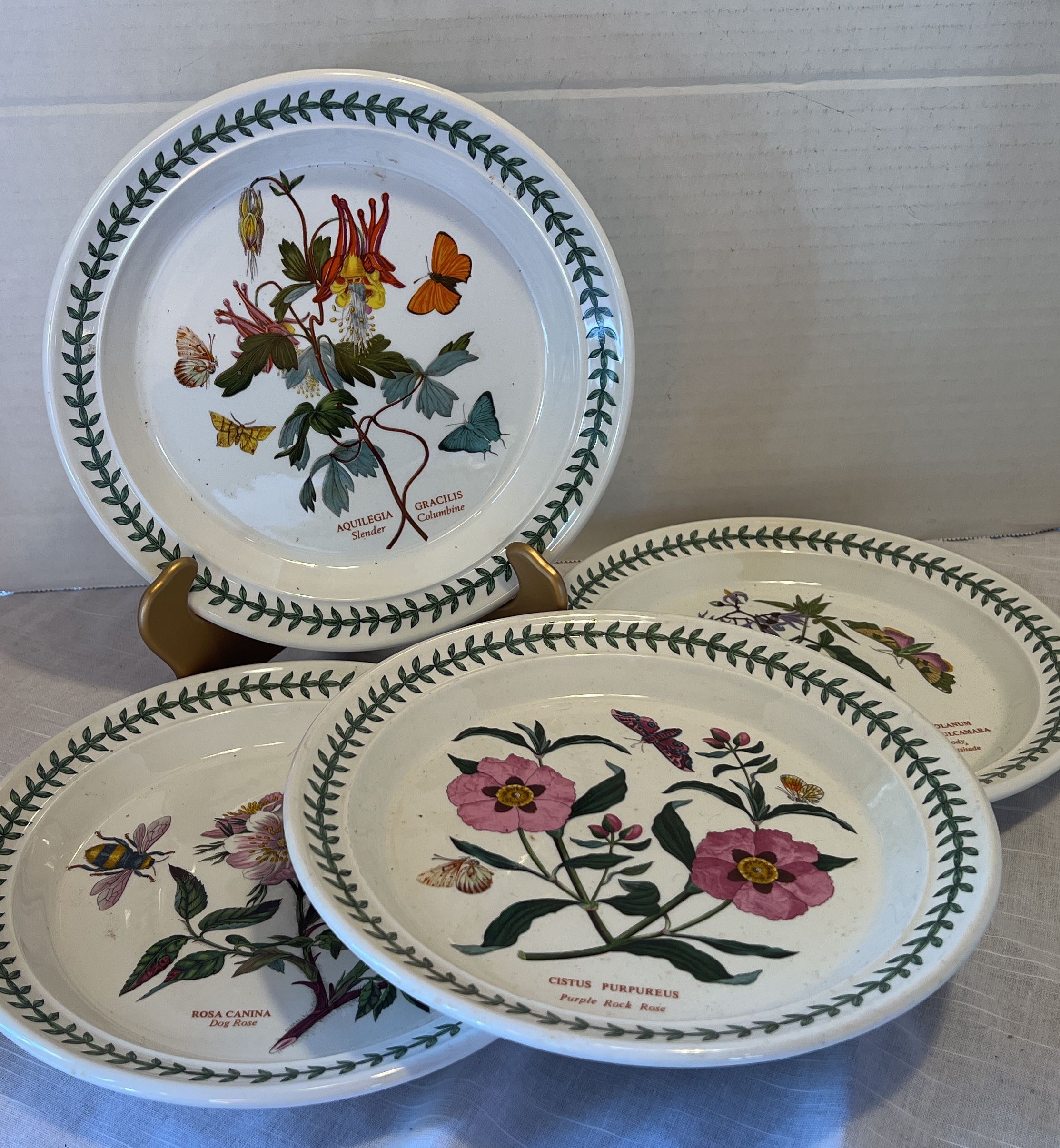 Buy Portmeirion Botanic Garden Dinner Plates, Set of 6 Assorted Motifs  Online at Low Prices in India 