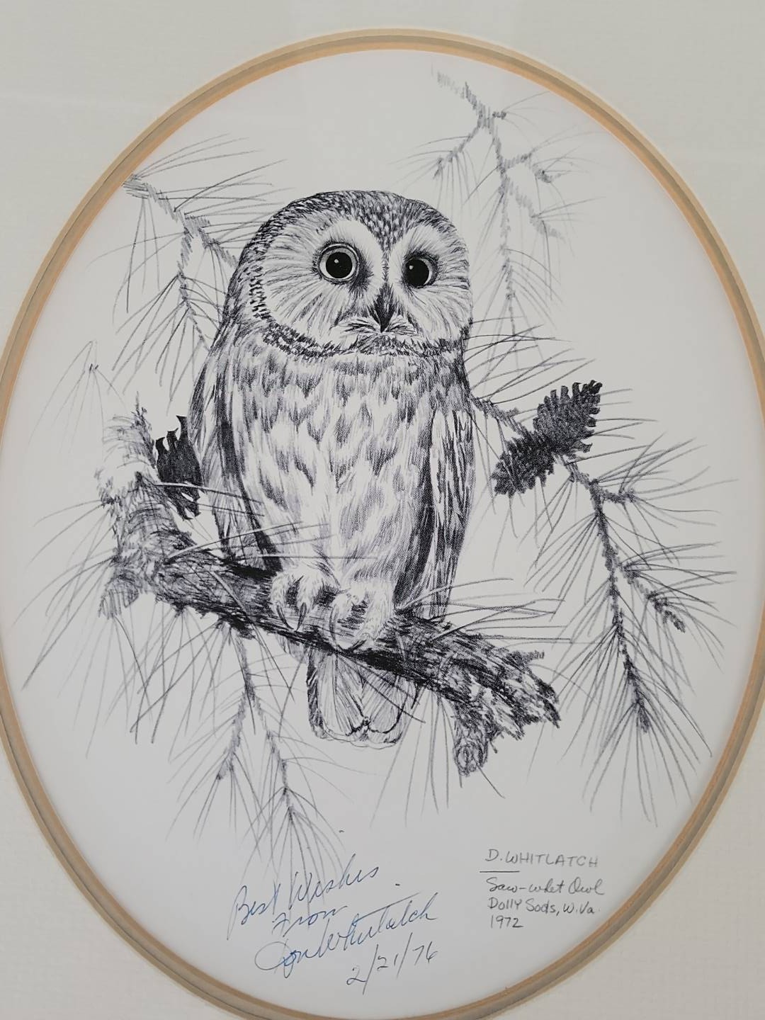 DON-WHITLATCH-SIGNED-Prints-Birds-of-Prey