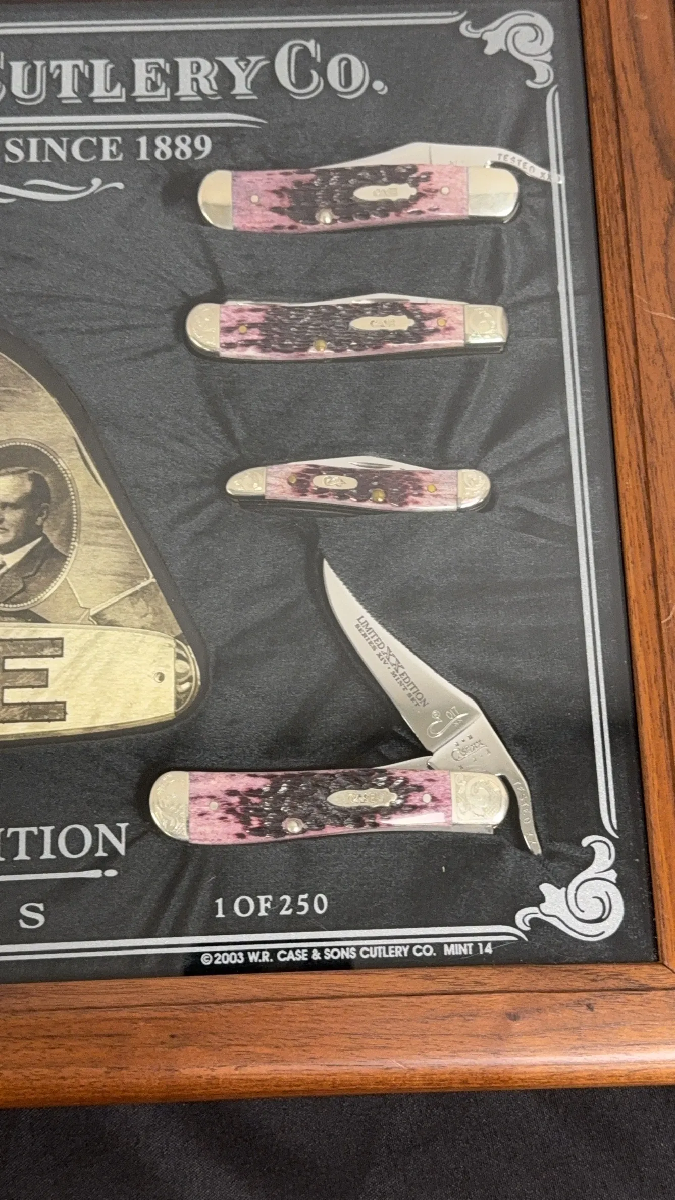 Case-XX-Limited-Edition-Mint-Set-Serial-17-of-250-Framed-8-Knife